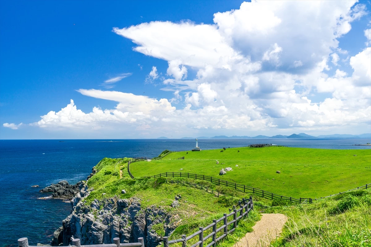 杉ノ原放牧場