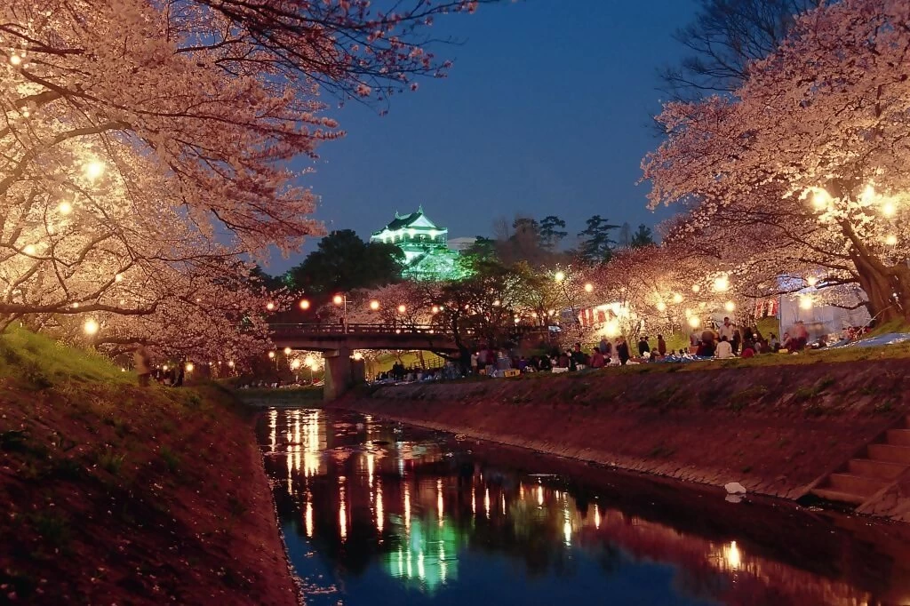 桜まつり（春）