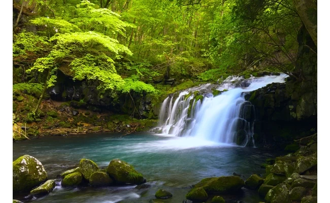 緑が美しい季節の蓼科大滝