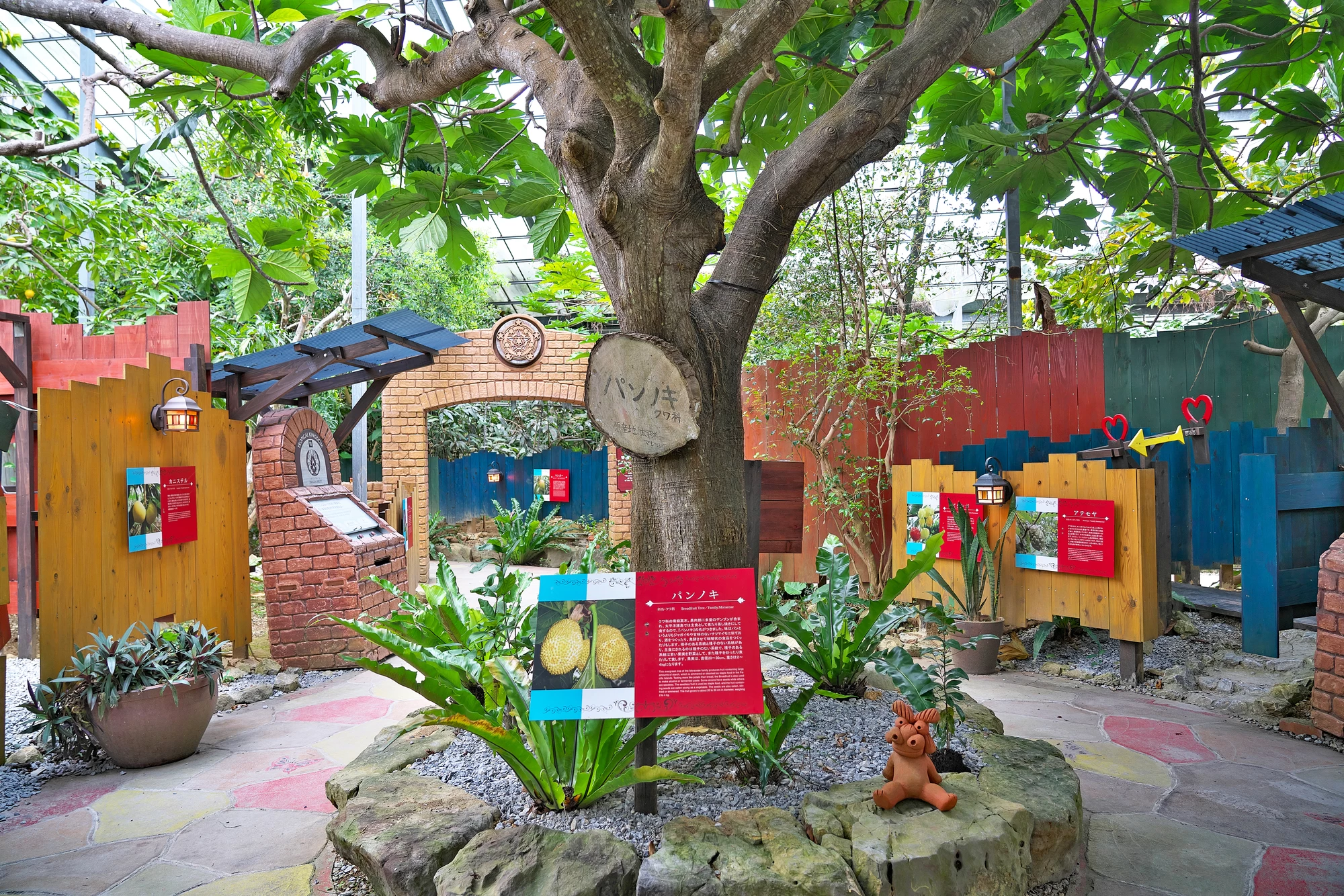 「ブレッドフルーツ」と呼ばれるパンノキは、トンガ語で「メイ」と呼ばれ、昔から主食として親しまれてきた