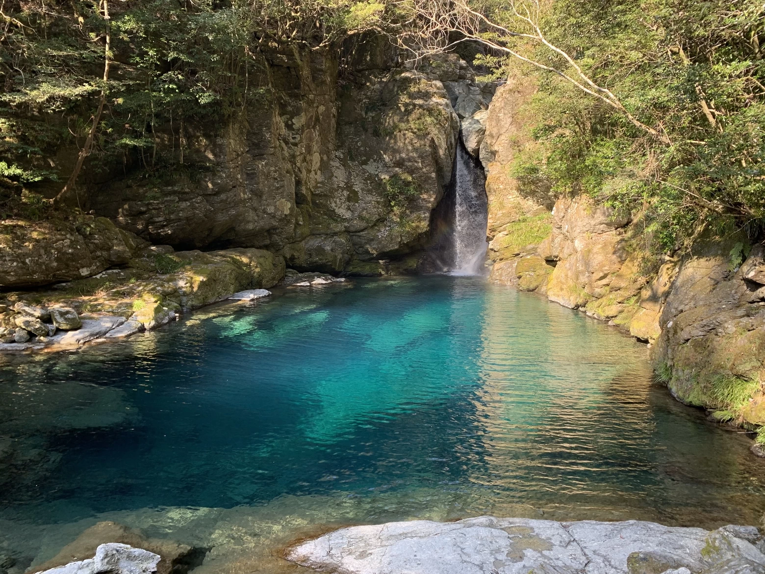 にこ淵④