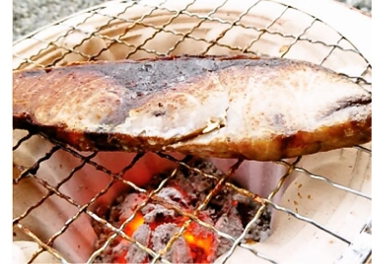 熟成肉のように、魚も熟成で旨味が進化