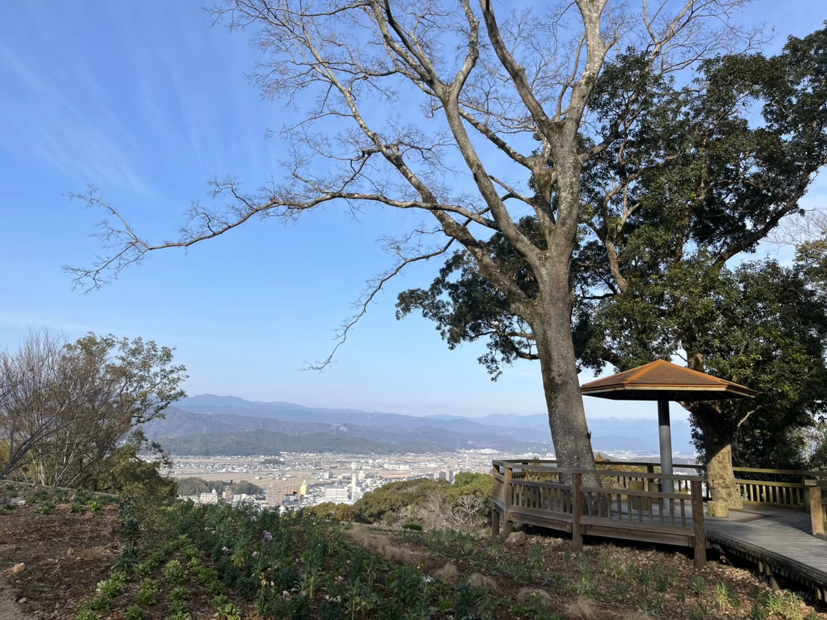 高知の町並みを一望