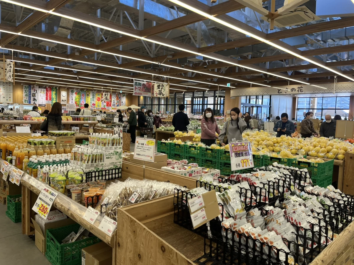 新鮮な野菜も揃う