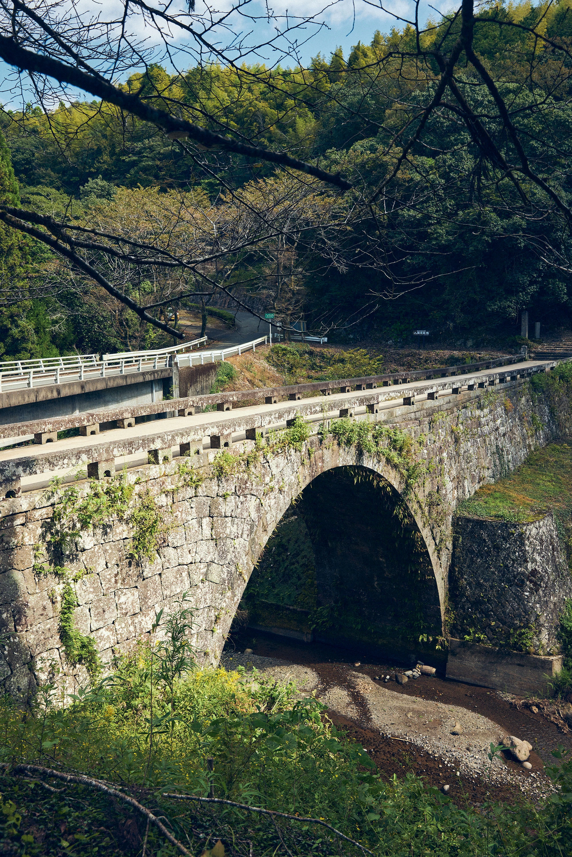 1855（安政2）年に造られ、苔や植物と共生するかのように存在する