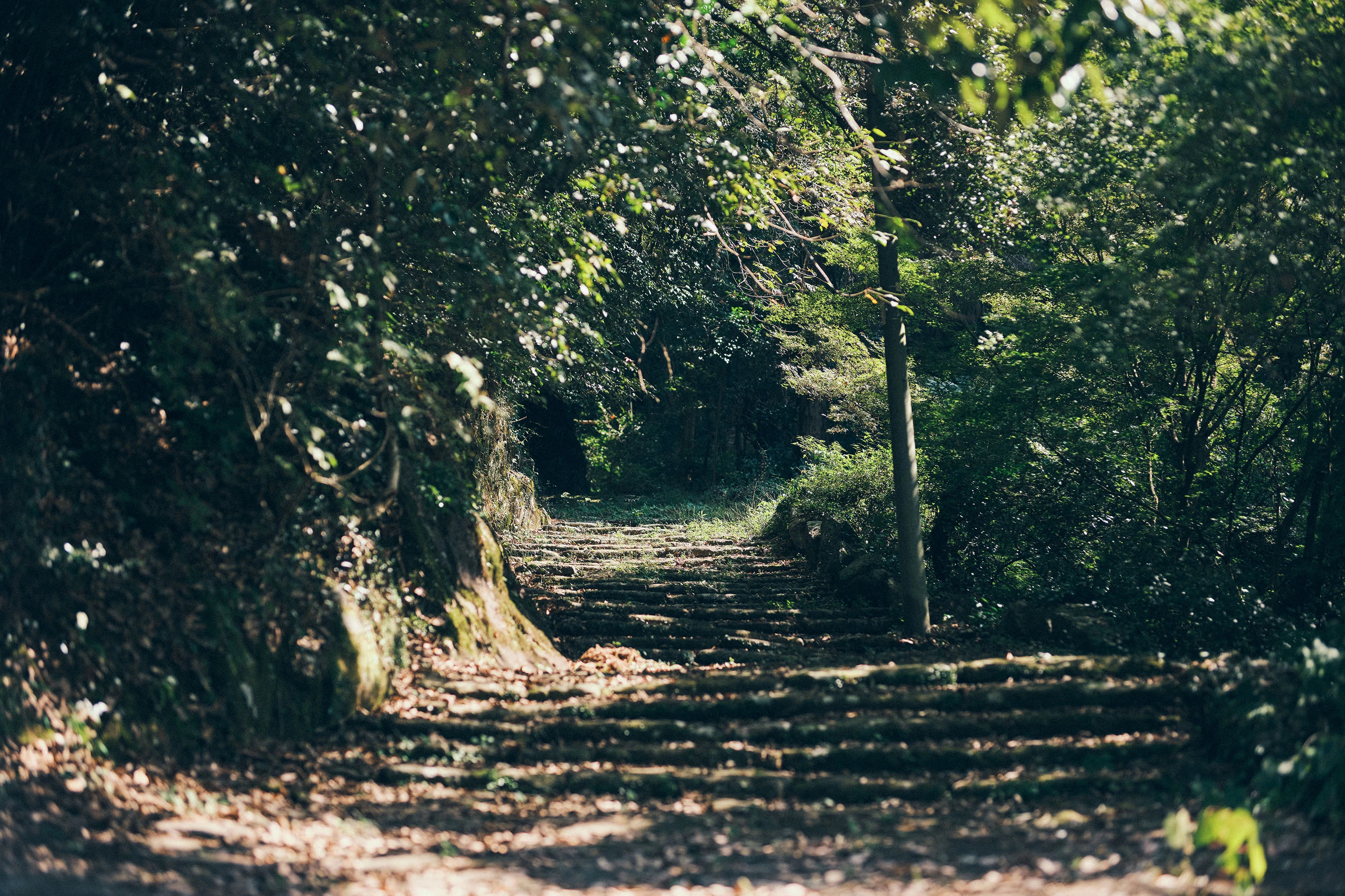 今も残る日向往還の石畳は異次元に繋がっているような幽玄な雰囲気