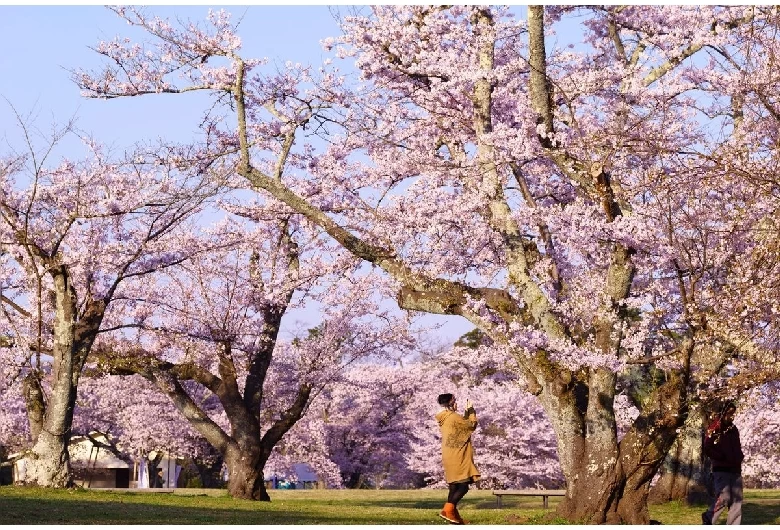 三神峯公園①