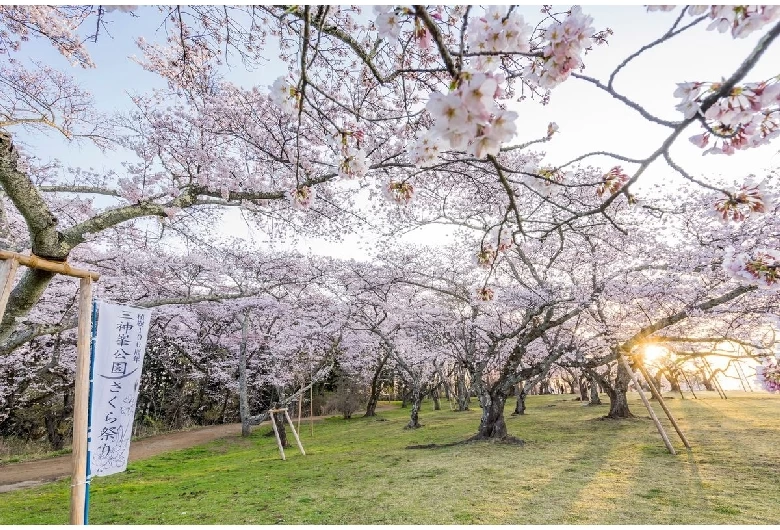 三神峯公園②