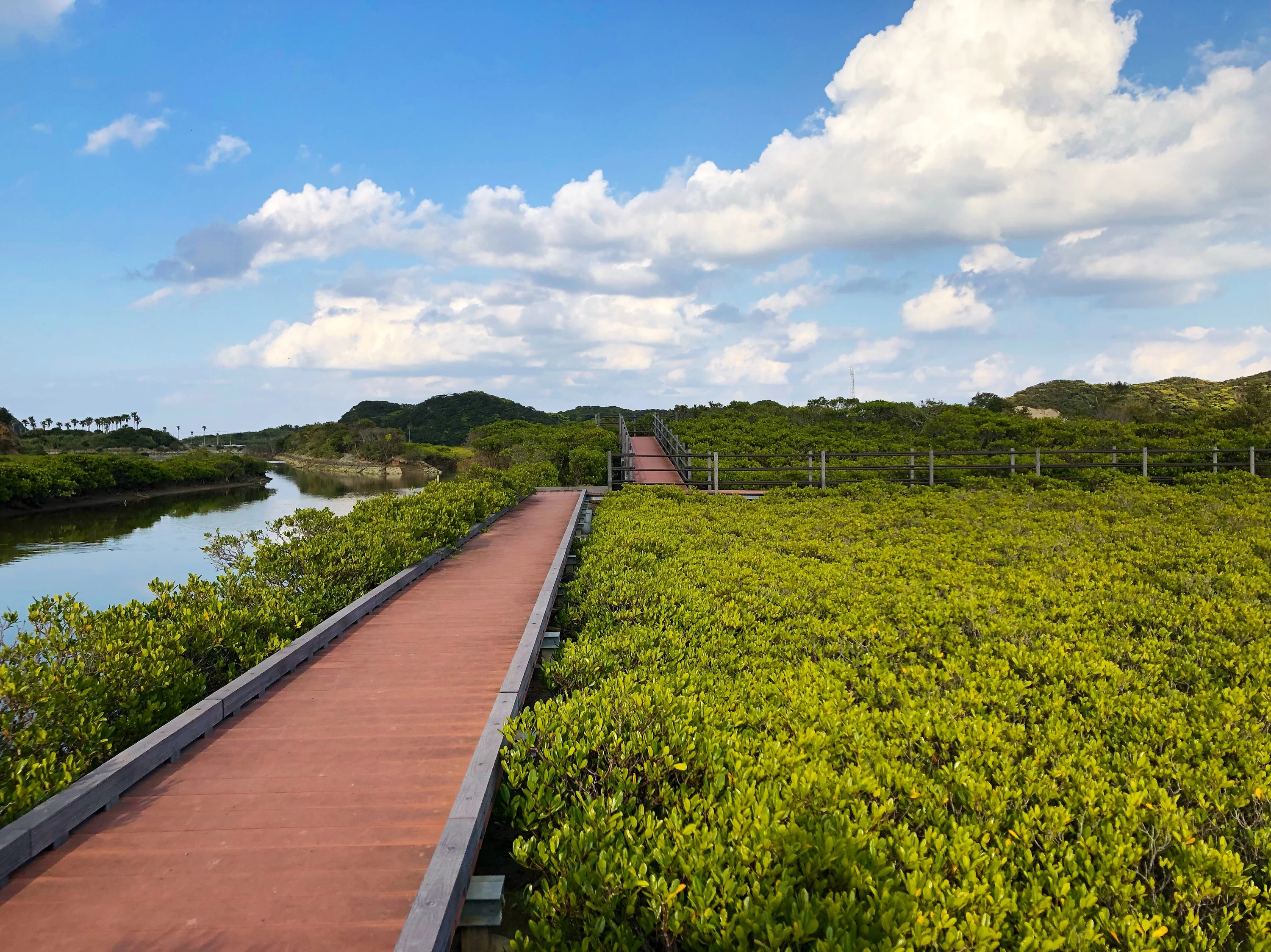 パーク内の歩道