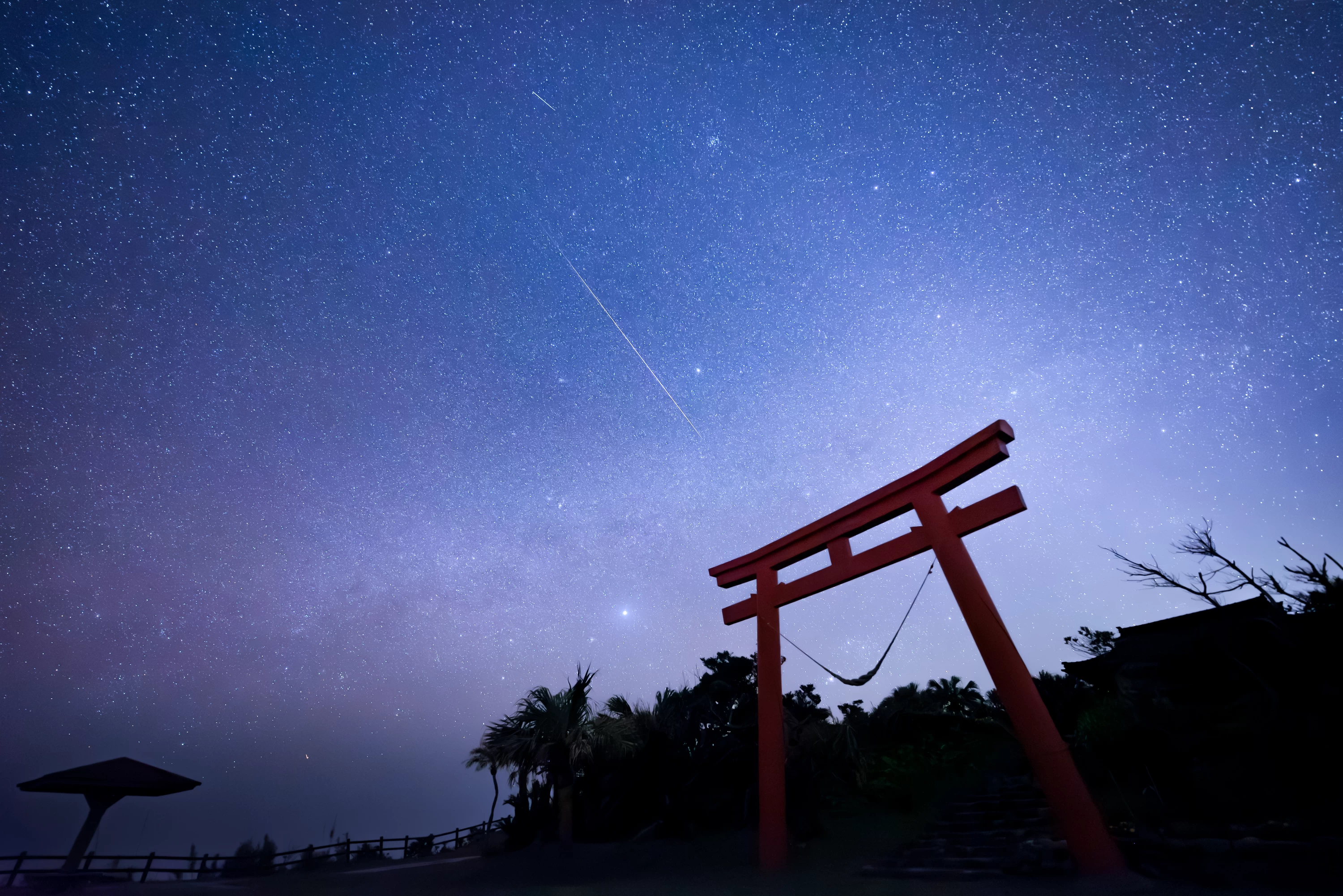 夜の鳥居