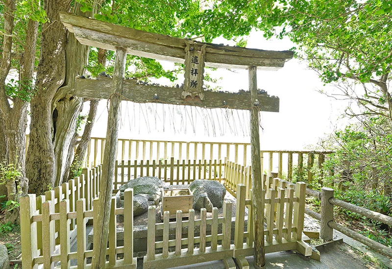 雄大な海景色を眺めてパワーチャージ
