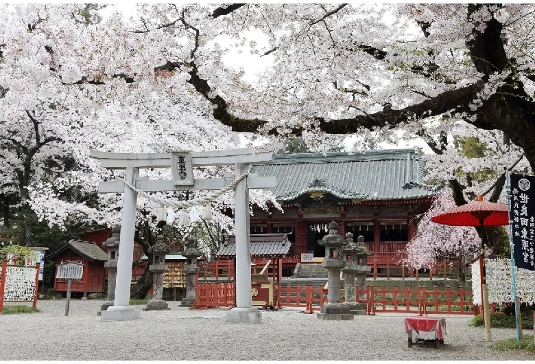 世良田東照宮（春）