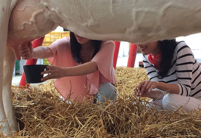摩周山麓の酪農体験