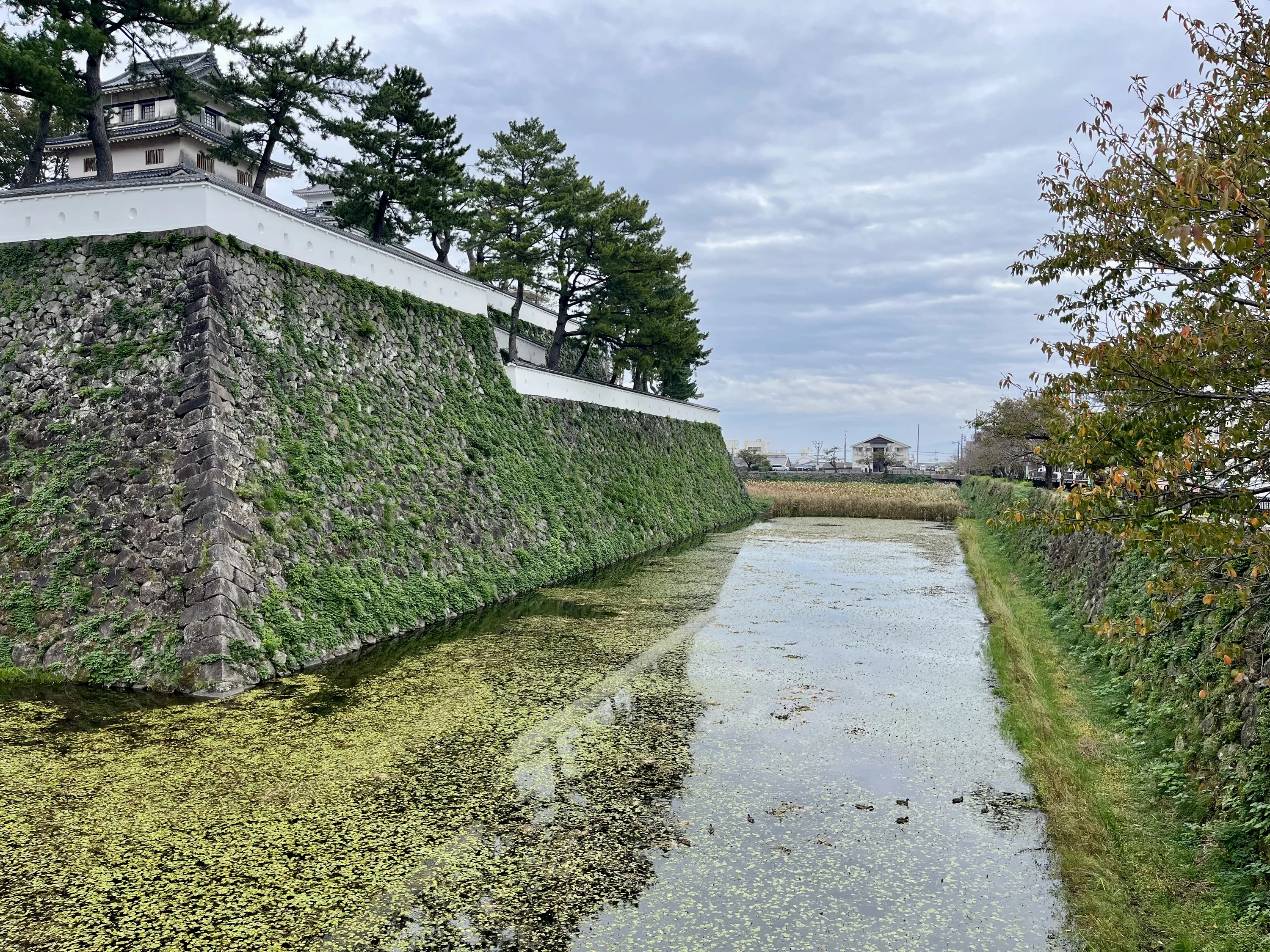 本丸南側水堀（現地にて撮影）