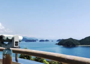 展望台からの眺め