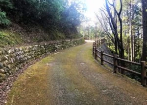 駐車場から展望台へと続く道