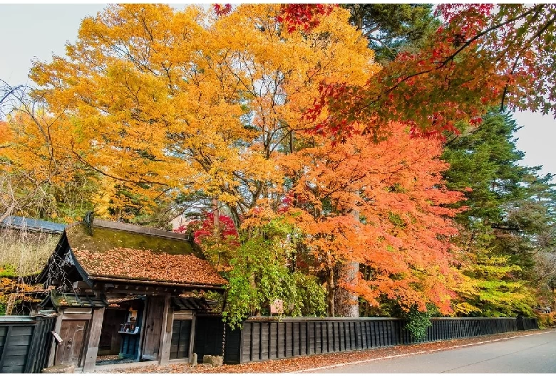 角館歴史村・青柳家③