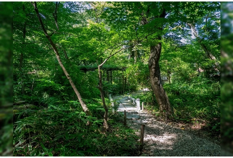 角館歴史村・青柳家④