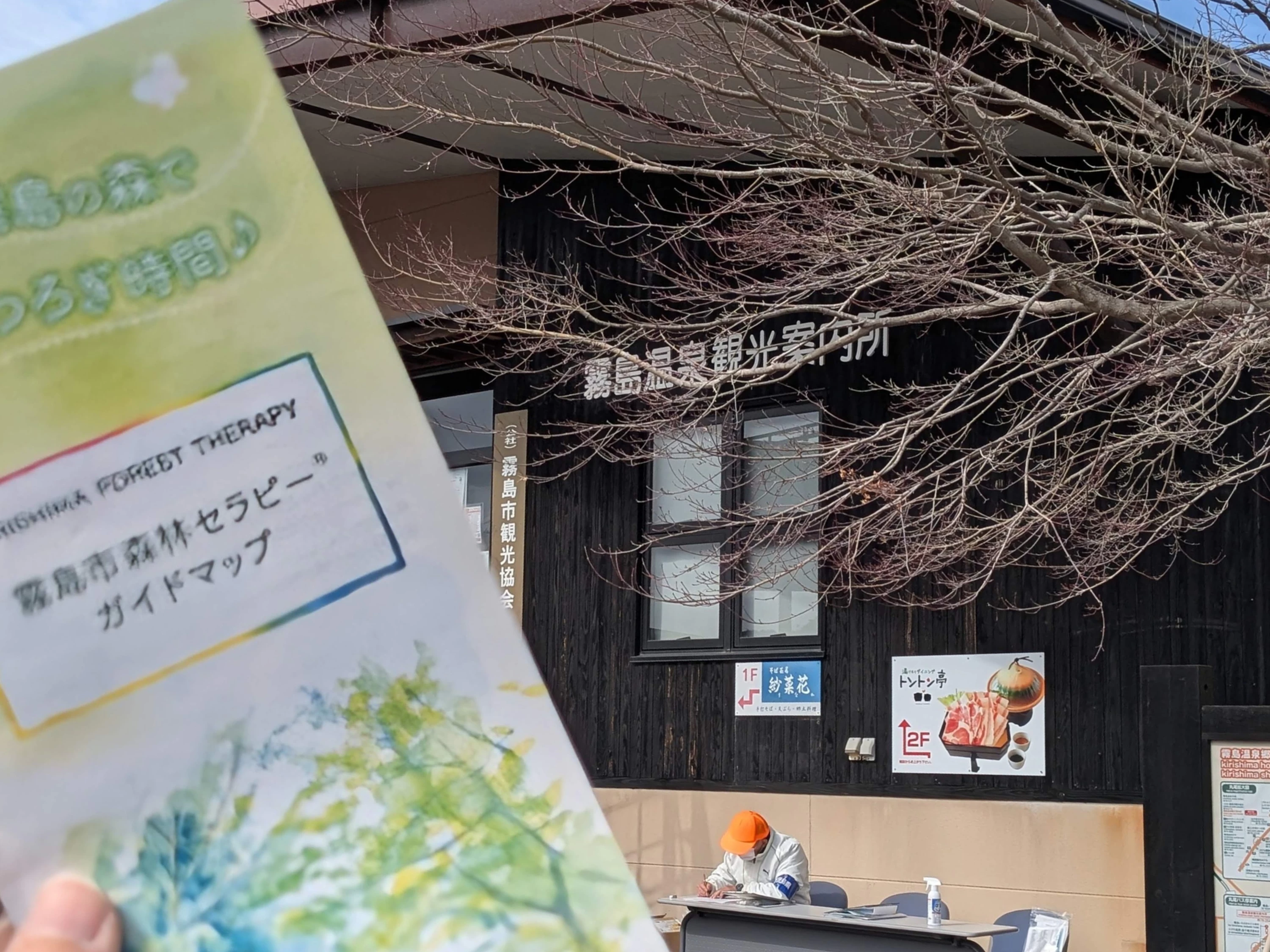 森林セラピーのパンフレット（現地にて撮影）