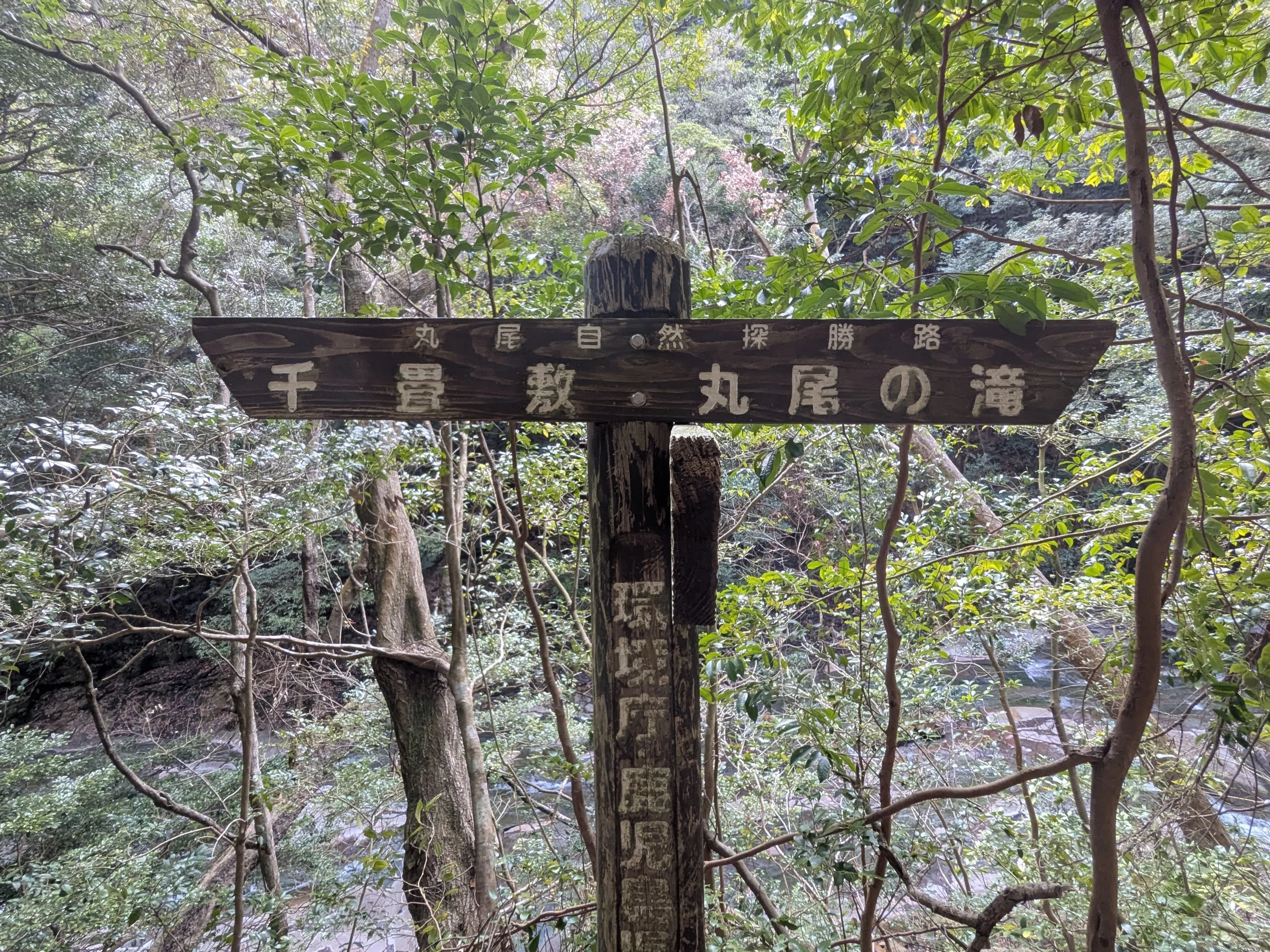 ルートの看板（現地にて撮影）