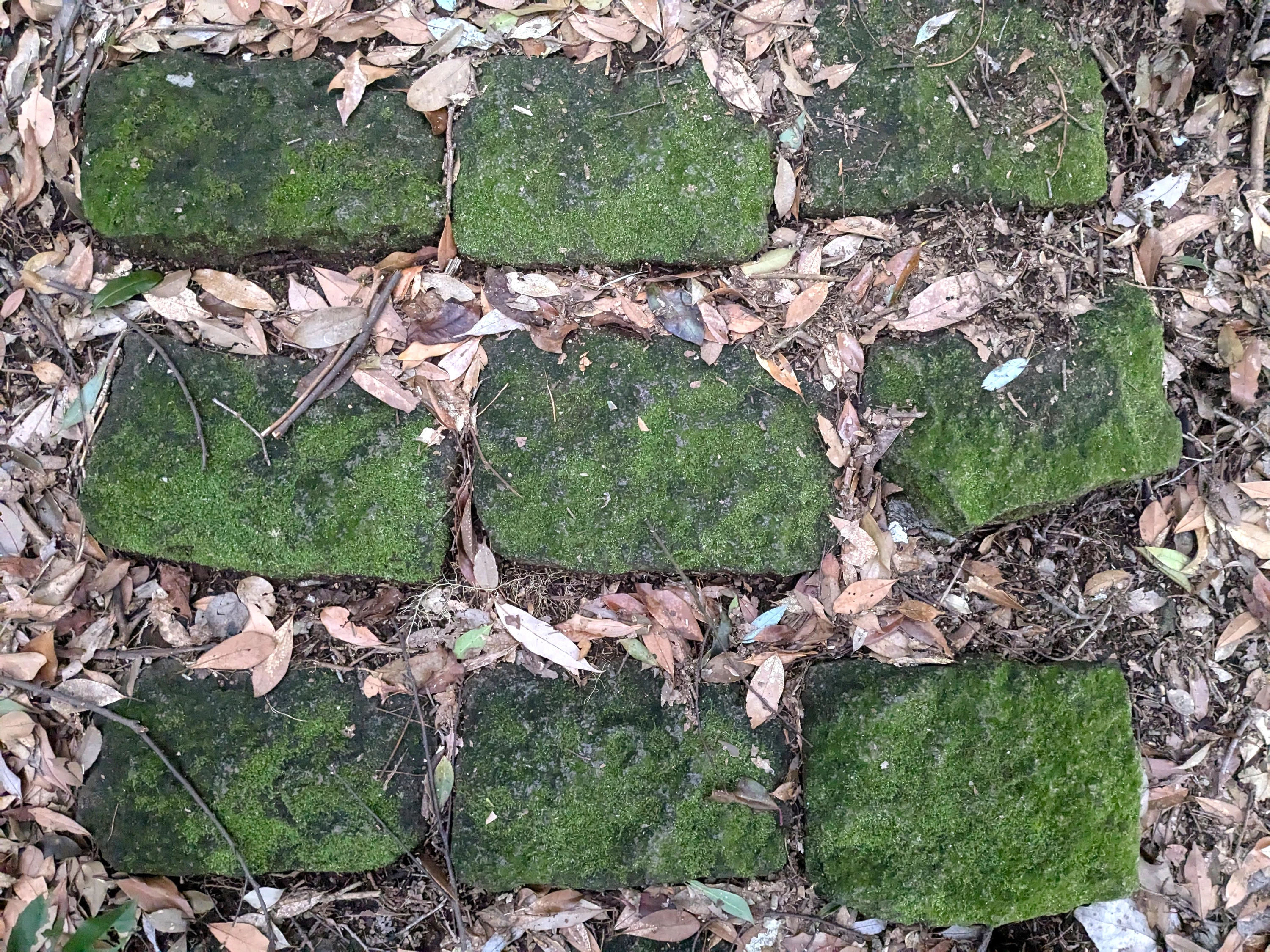 しばらくは石畳の道が続く（現地にて撮影）