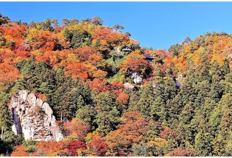 紅葉