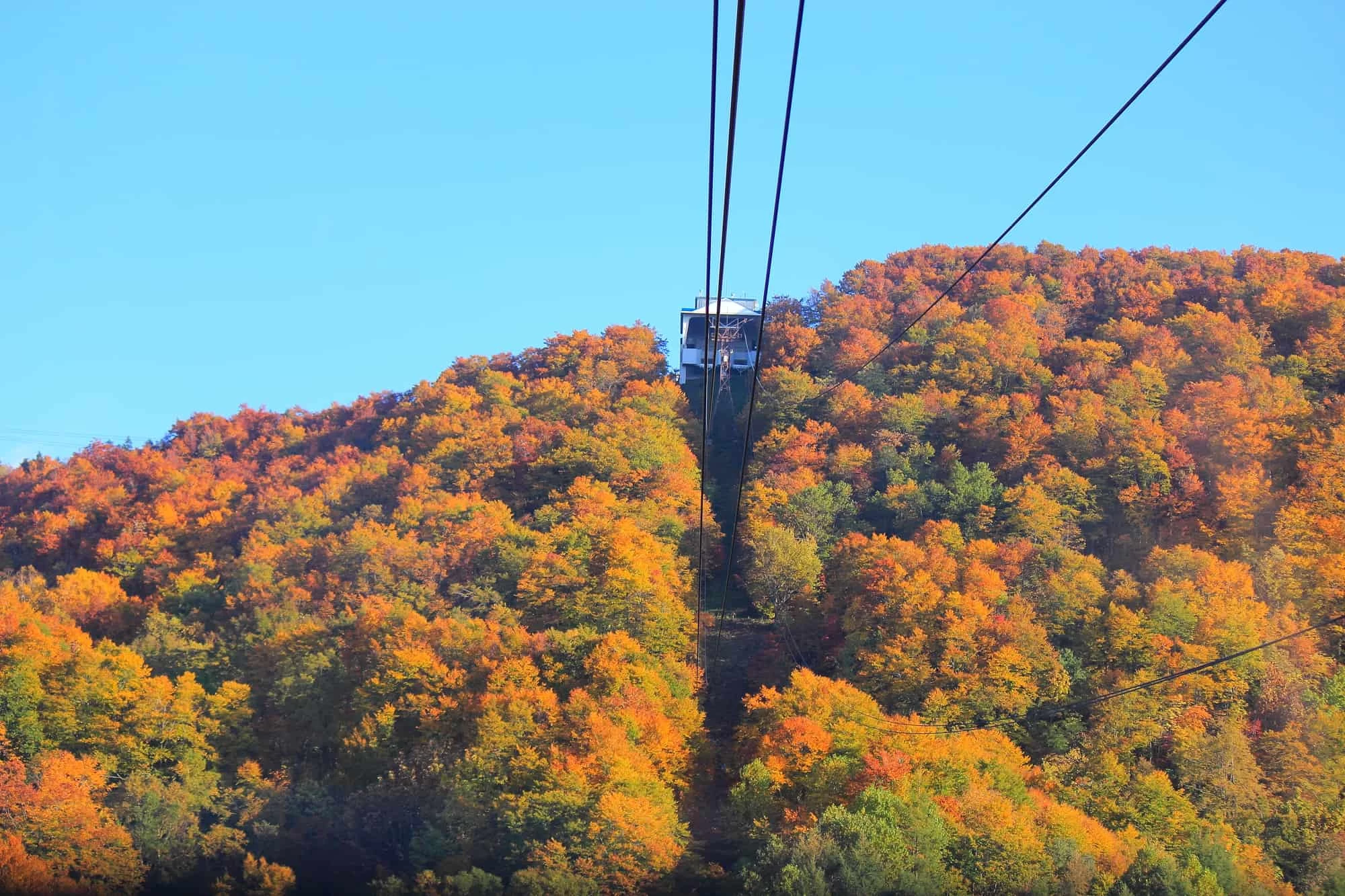 蔵王ロープウェイ（秋）
