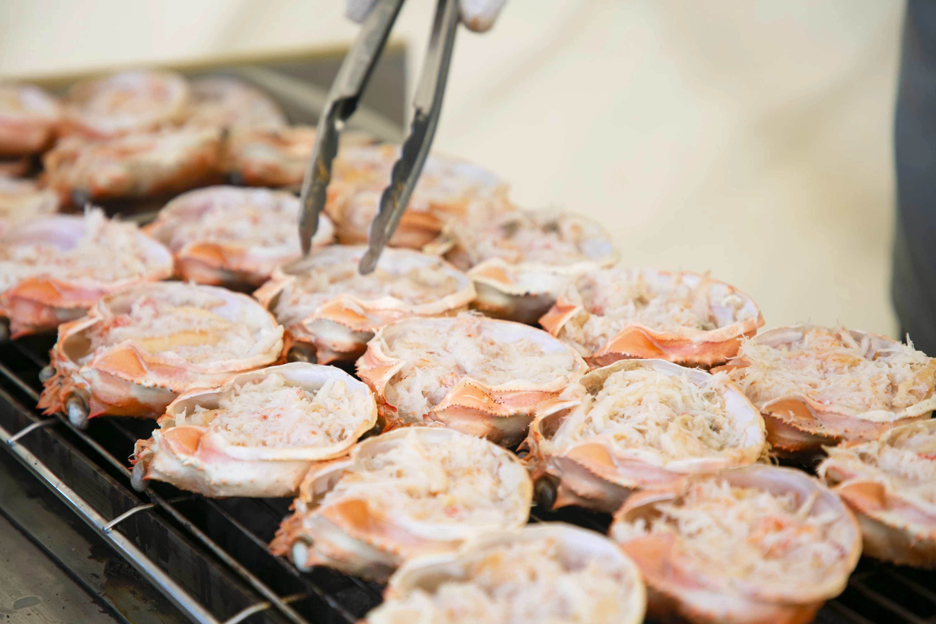 全国のうまいものが集結②