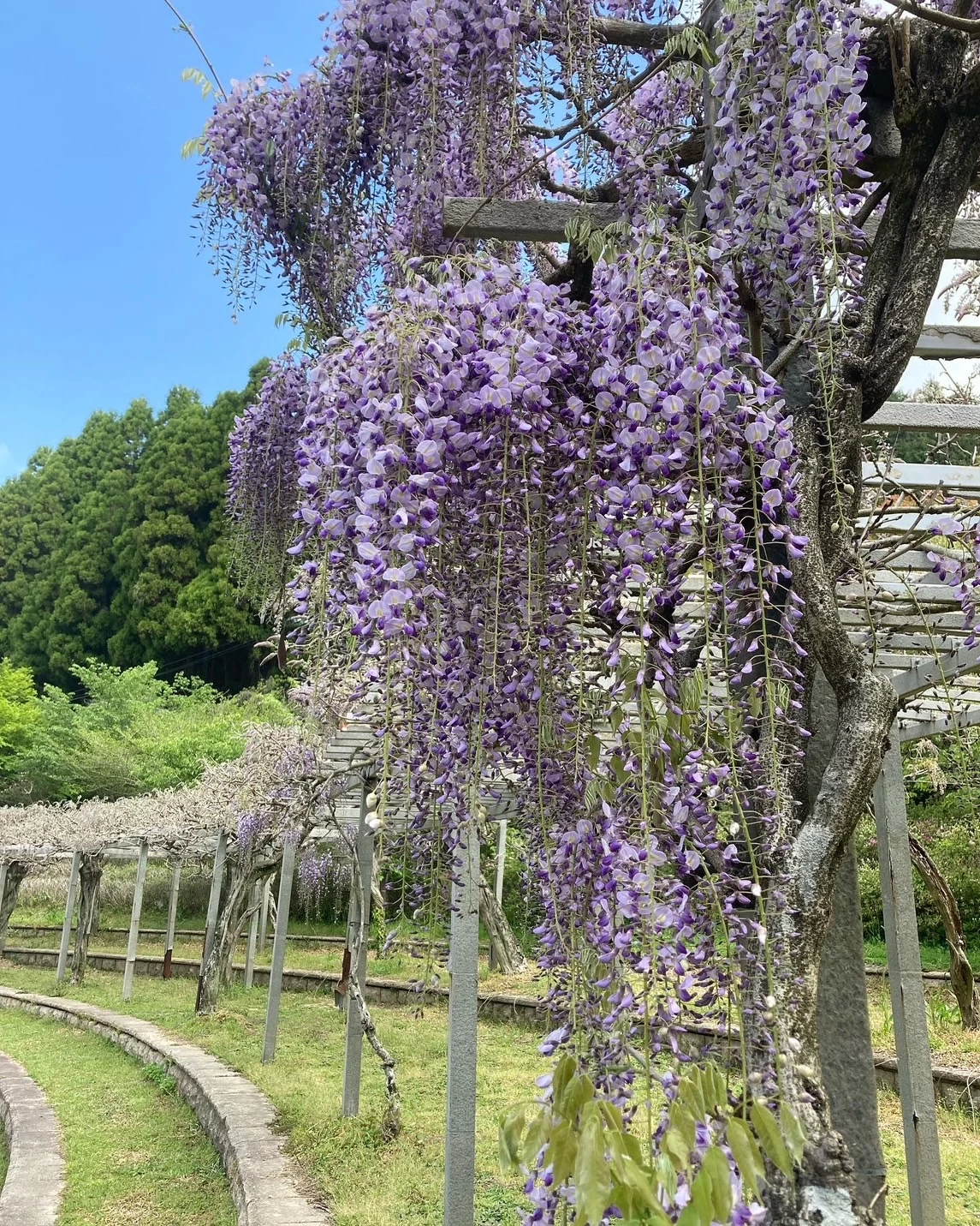 四季折々の花が楽しめる