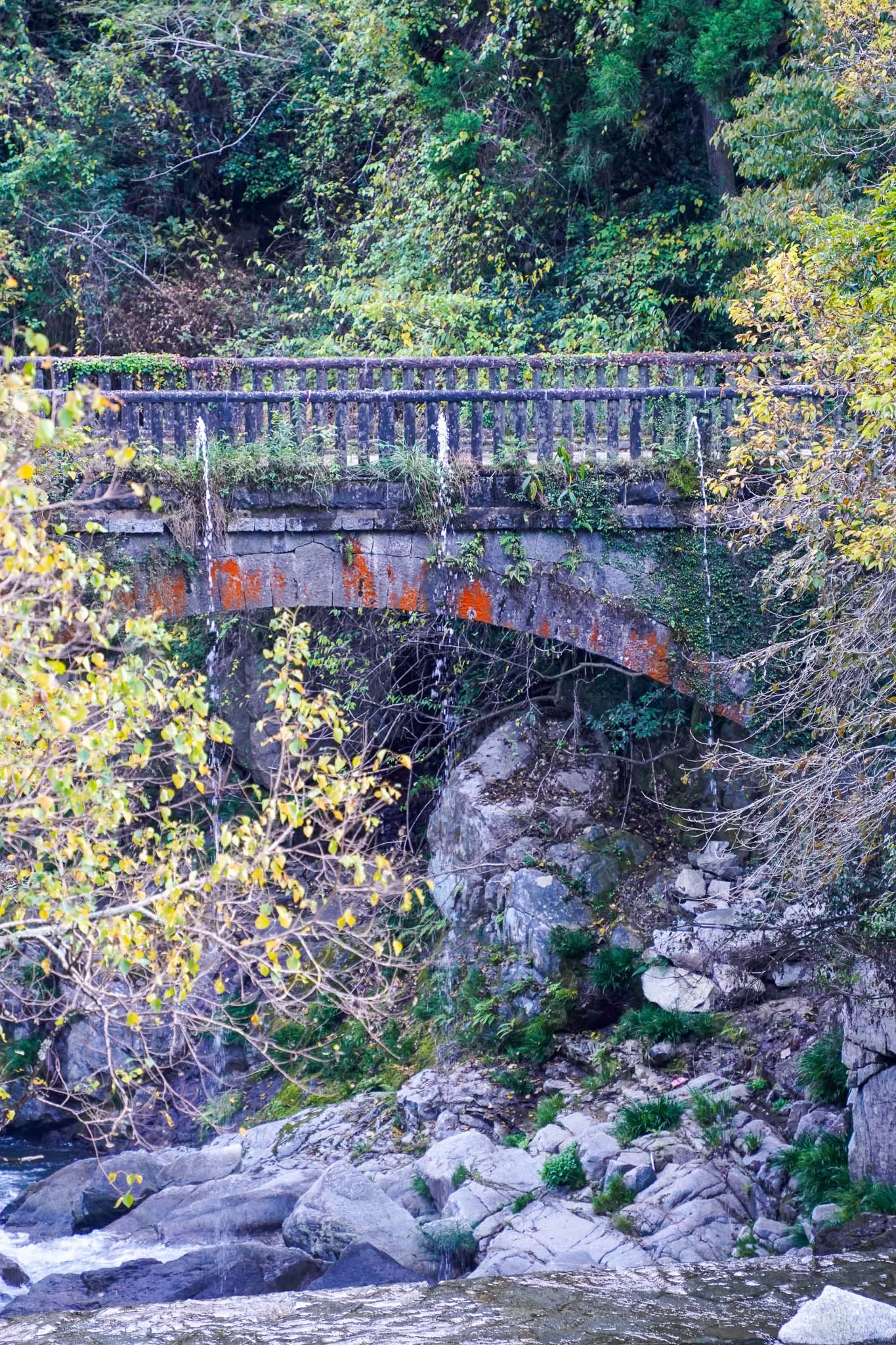 公園近くの「眼鏡橋」も桜の名所として有名