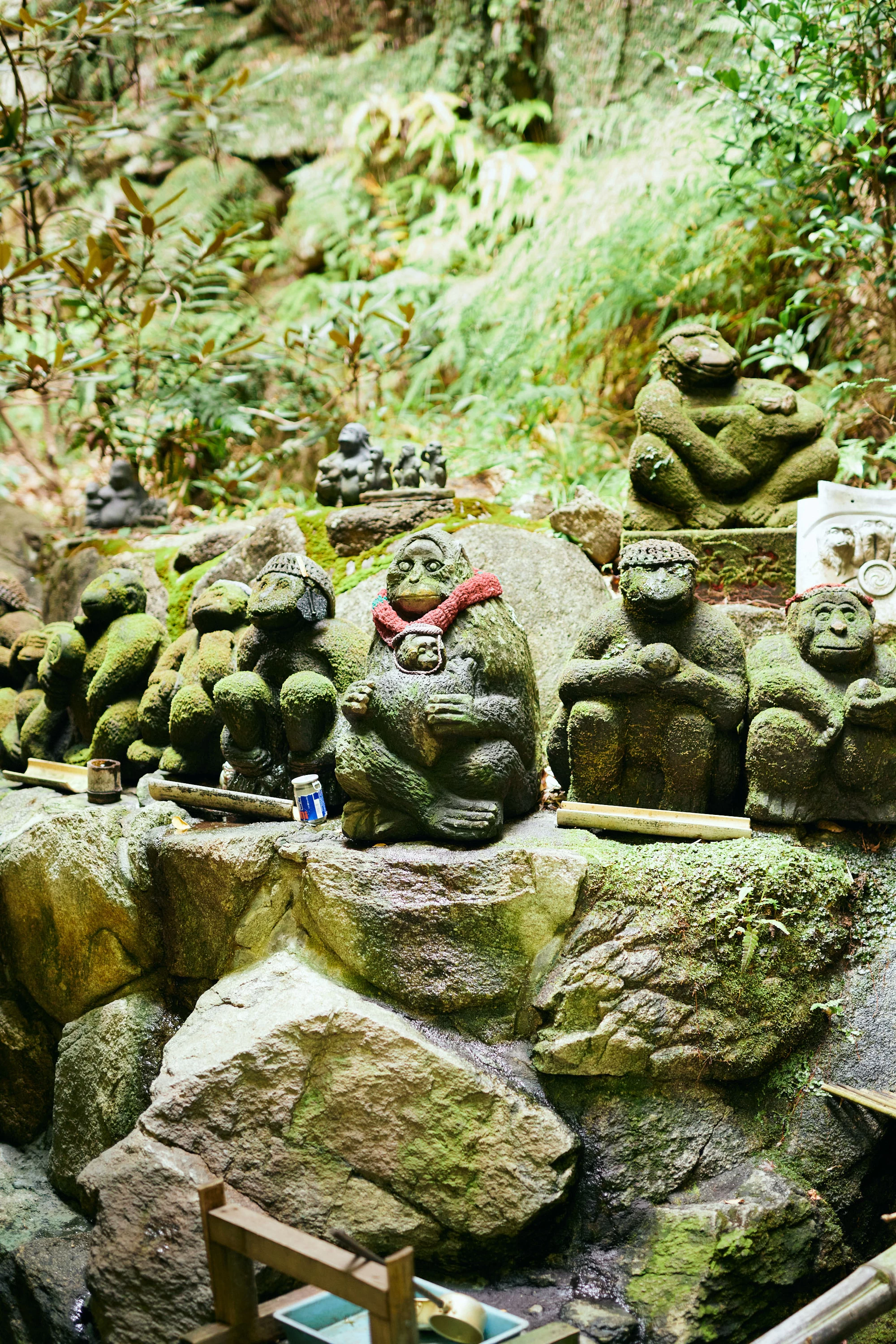 願いをこめてお猿さんたちに金剛水をかけよう