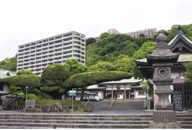 鶴の形をしたイヌマキの木「斉鶴」