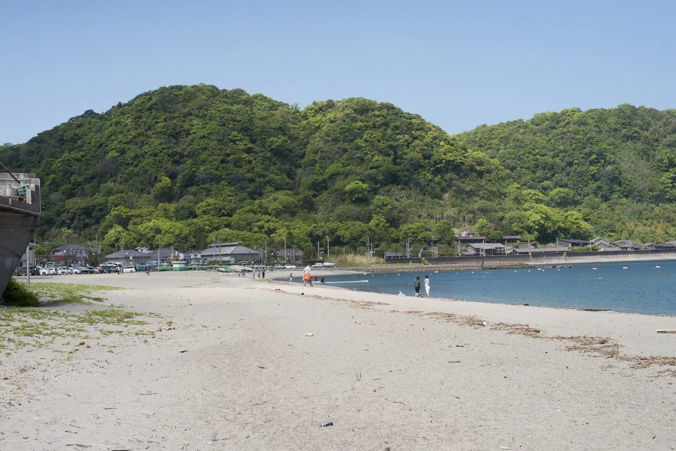 春の砂浜①（現地にて撮影）