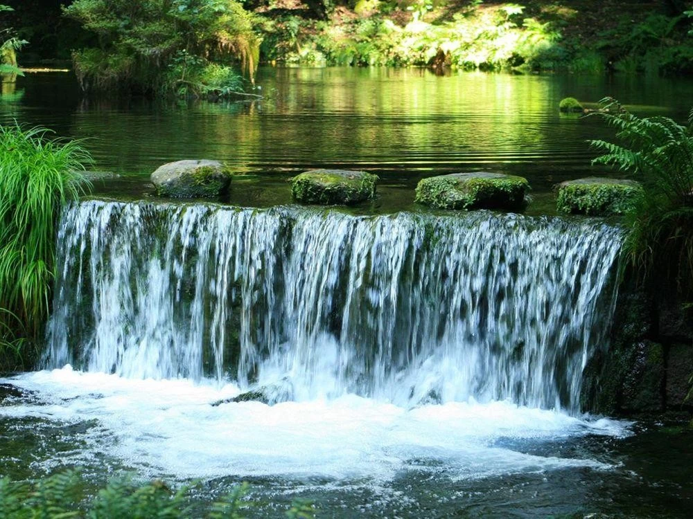 水源の近く