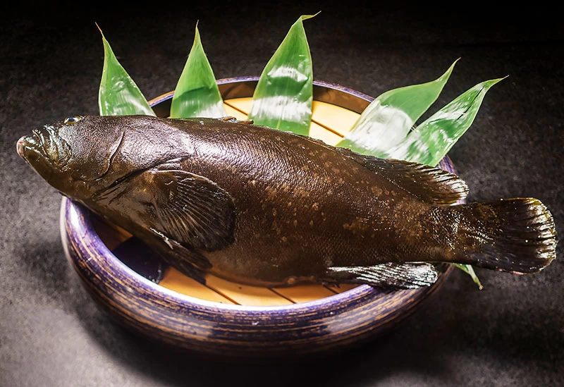 夕食付きプランで味わえる「クエのお造り」