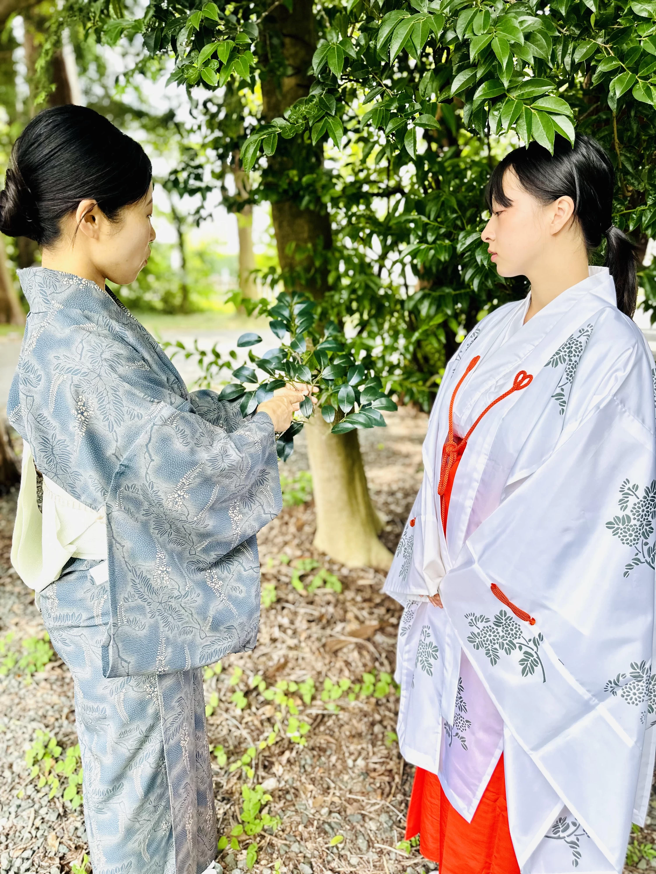 巫女の歴史、舞を本物の巫女から伝授