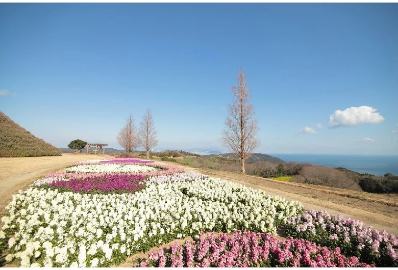 あわじ花さじき④