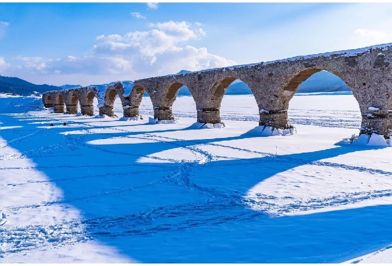 冬にはスノーシュー体験も可能