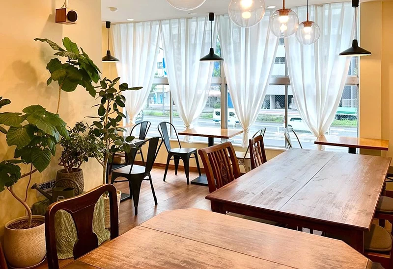 自然光が差し込む木の温もりを感じる店内