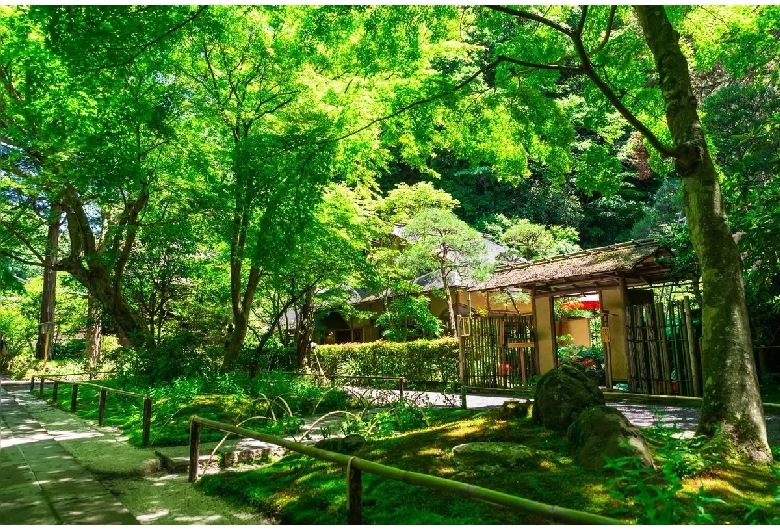明月院②