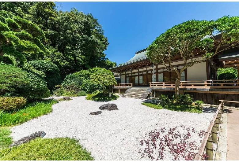 報国寺①