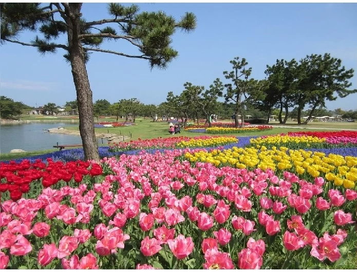 四季折々の花を楽しめる
