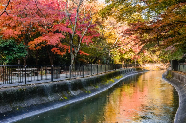 ©おこしやす"やましな”協議会　山梨疎水と紅葉