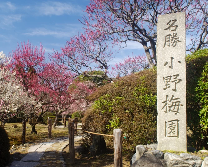 名勝 小野梅園