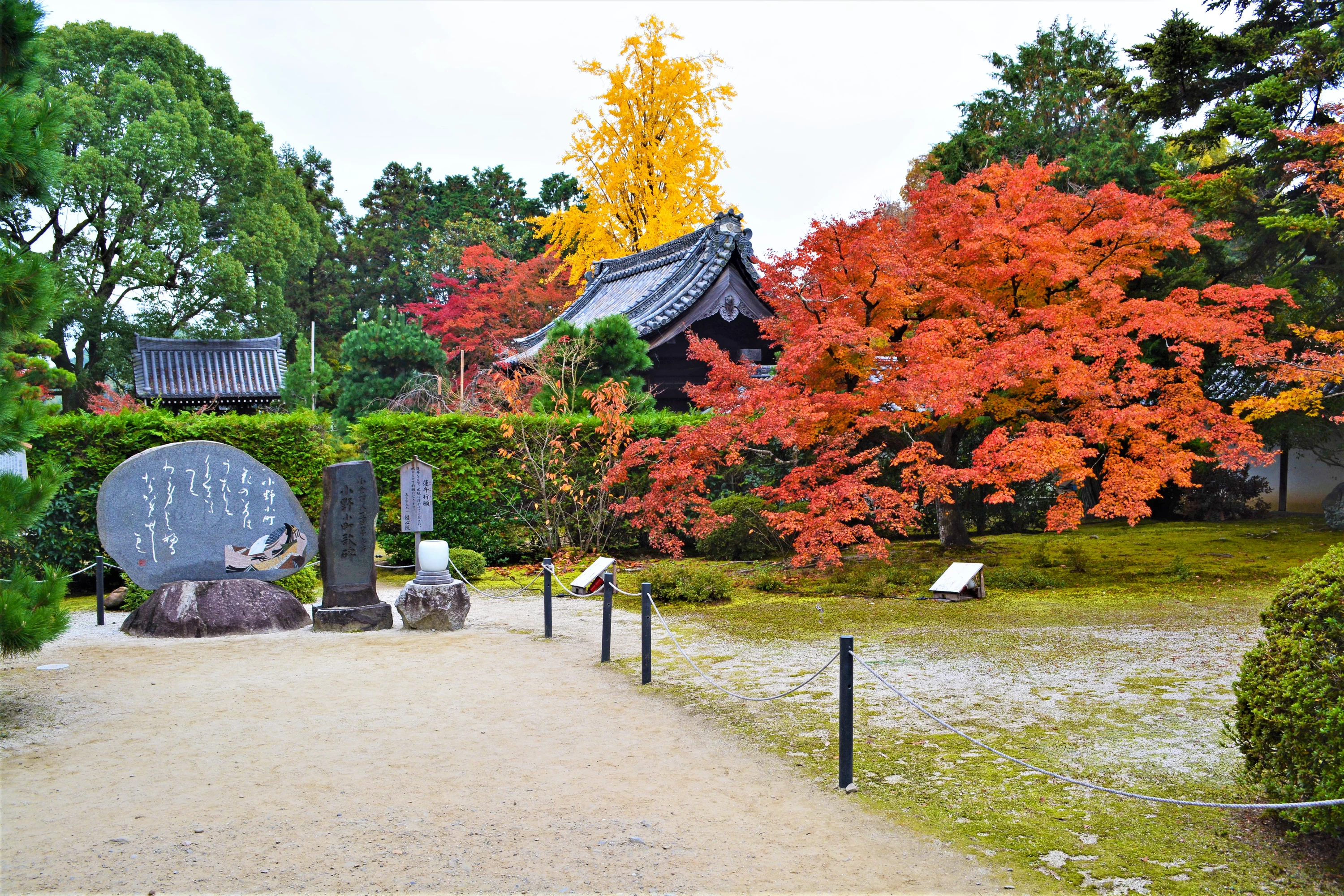 薬医門