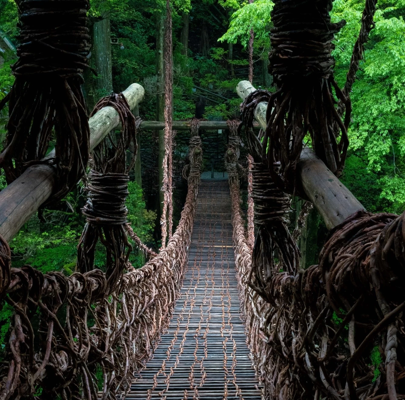 祖谷のかずら橋