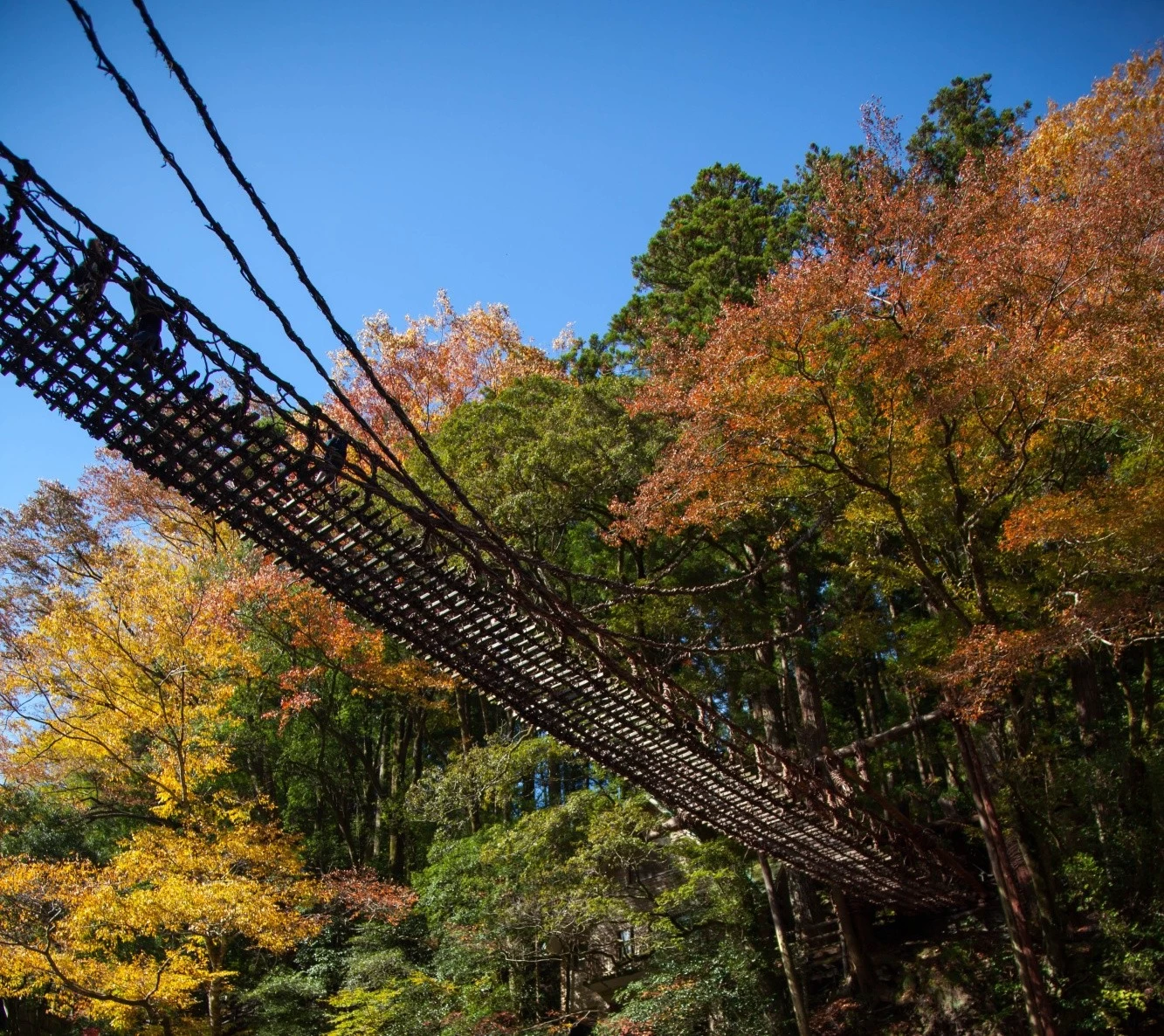 祖谷のかずら橋