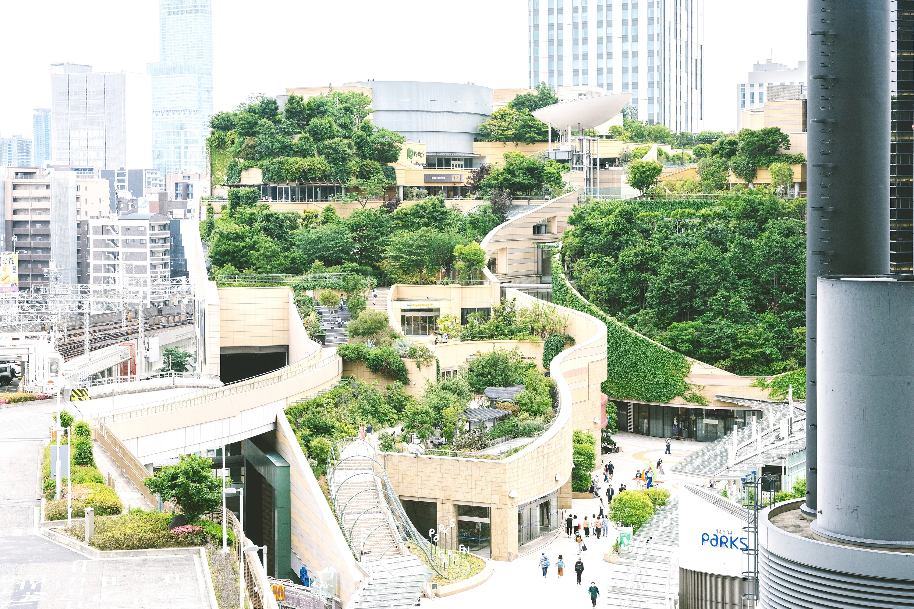 全体の風景