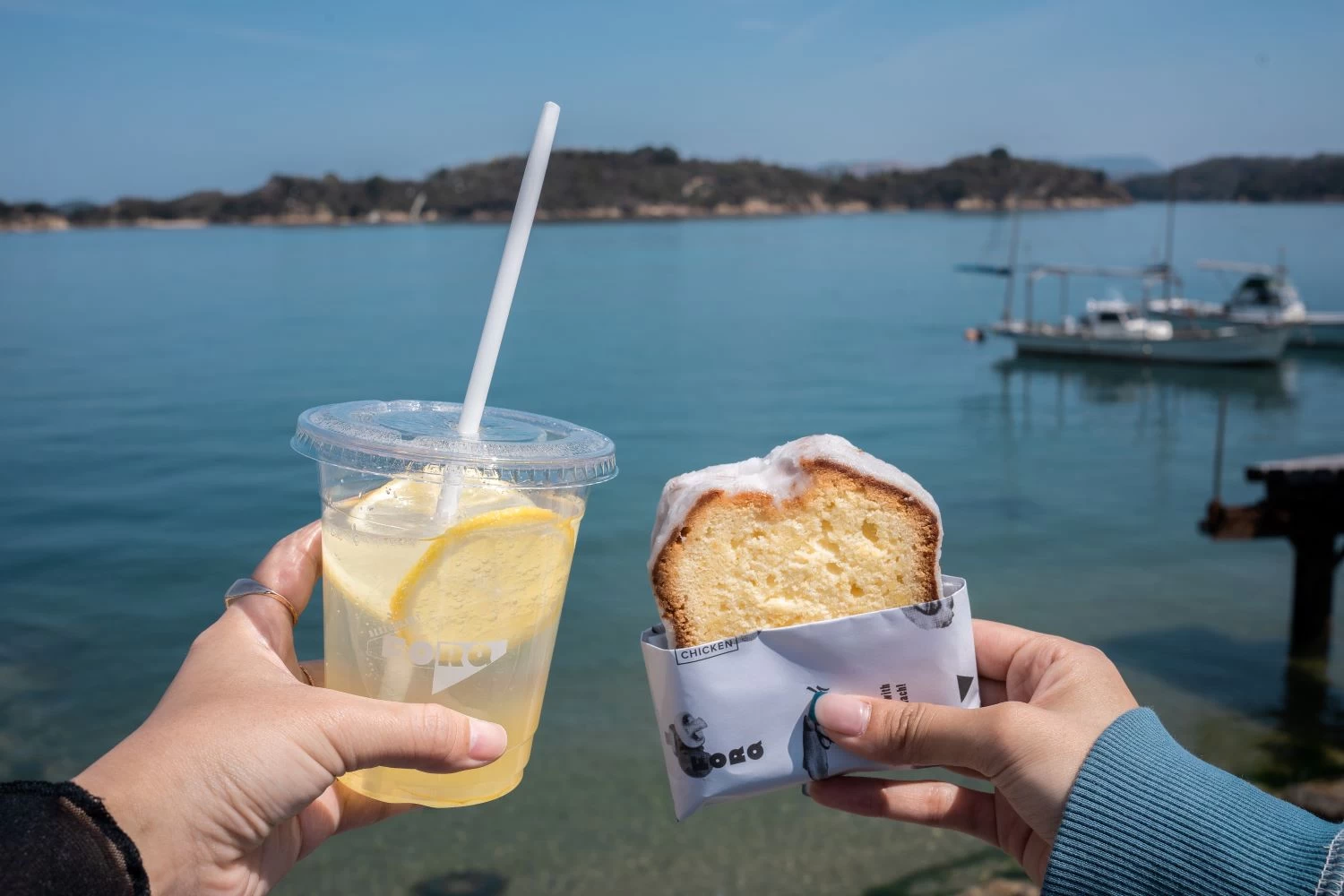 ビーチピクニック「おでかけレモンセット」