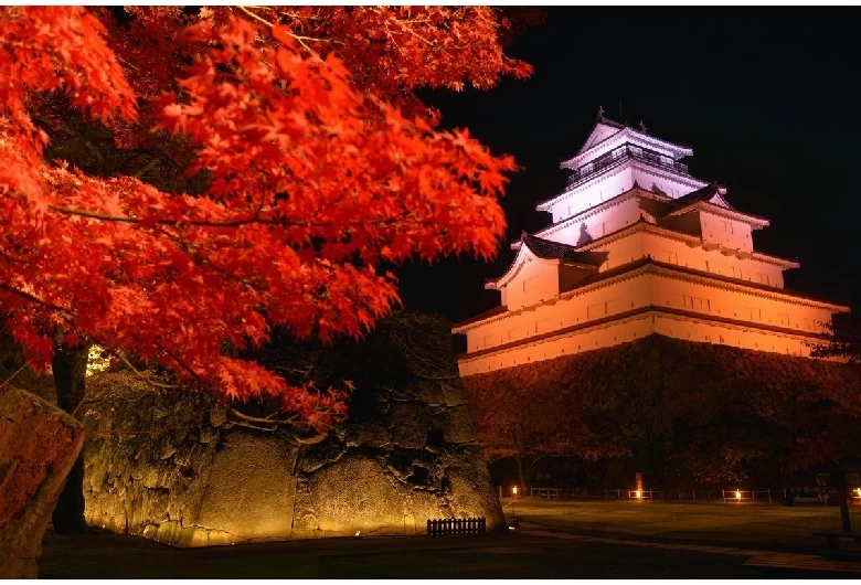 紅葉とライトアップ